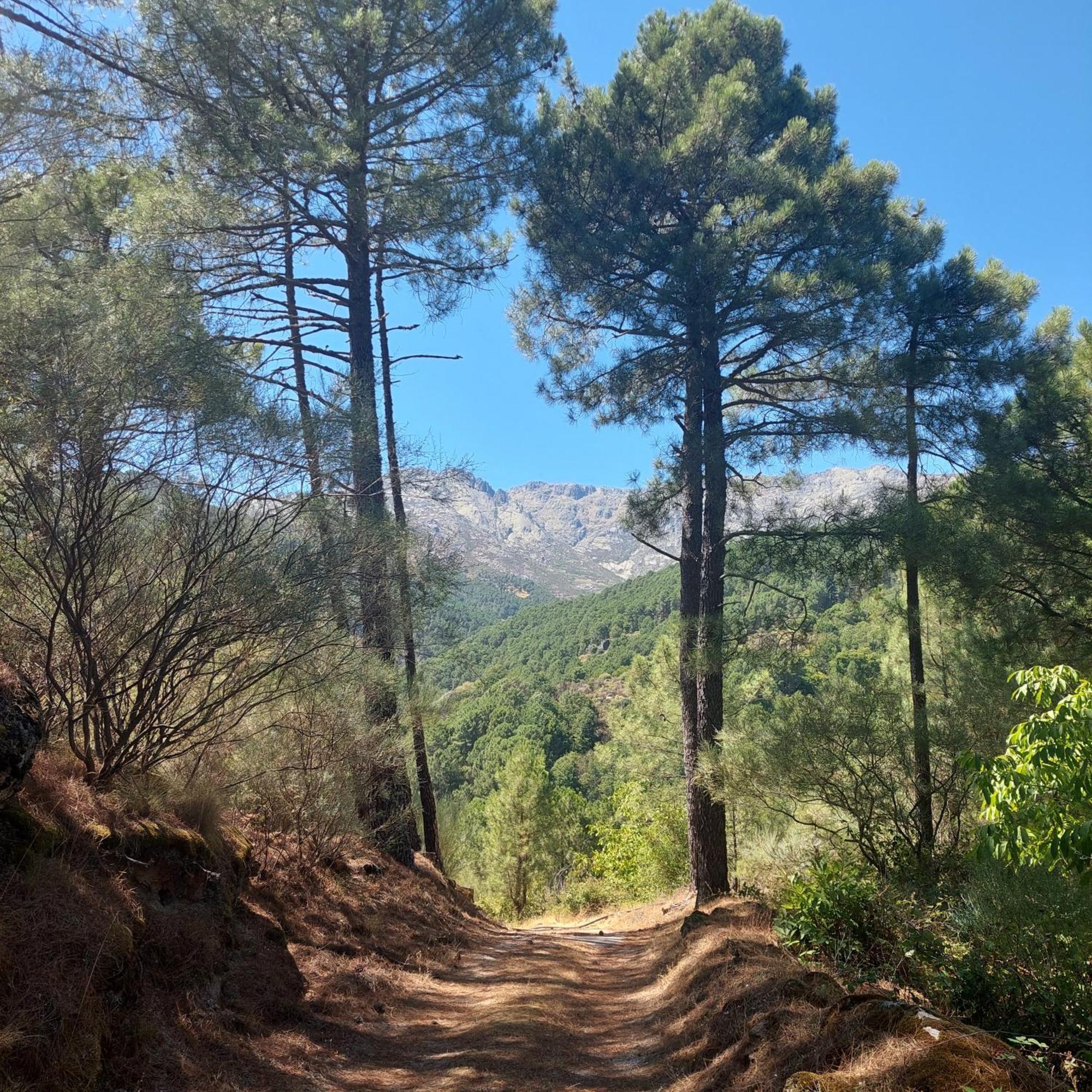 Puente Canto De Gredos อาเรนัส เด ซานเปโดร ภายนอก รูปภาพ